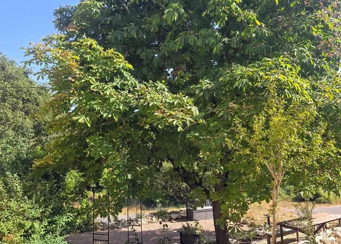 L'uzanges Alojamento de Acomodação e Pequeno-almoço Lussan (Gard)